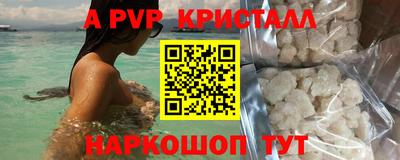 стафф Новодвинск