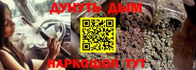 МДПВ Новозыбков