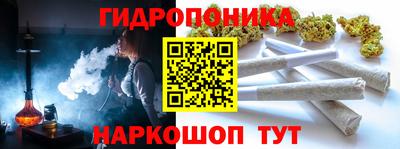 стафф Новодвинск