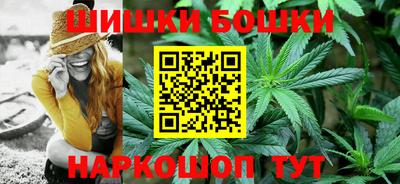 МДПВ Новозыбков