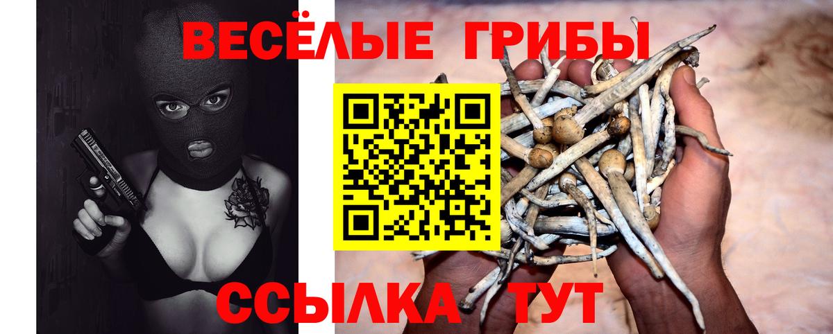 Тавда  Псилоцибиновые грибы мухоморы  Галлюциногенные грибы Psilocybe  Вход с VPN 